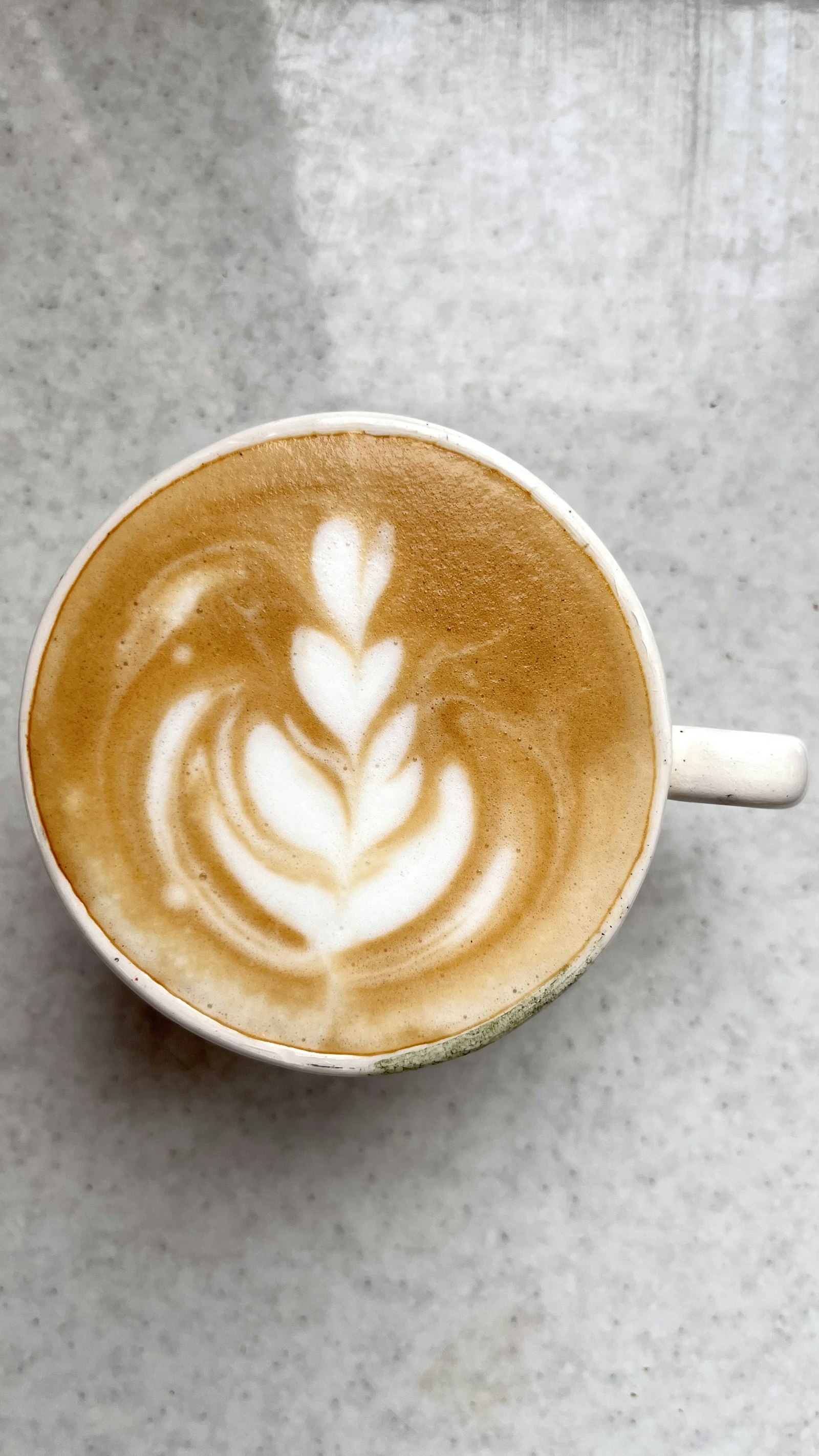 Cappuccino s rosettou v latte art
